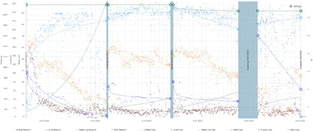 Production analysis (points – actual data, lines – calculated data)