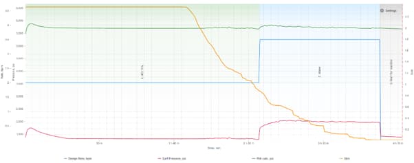 3D visualization of designed radial channels